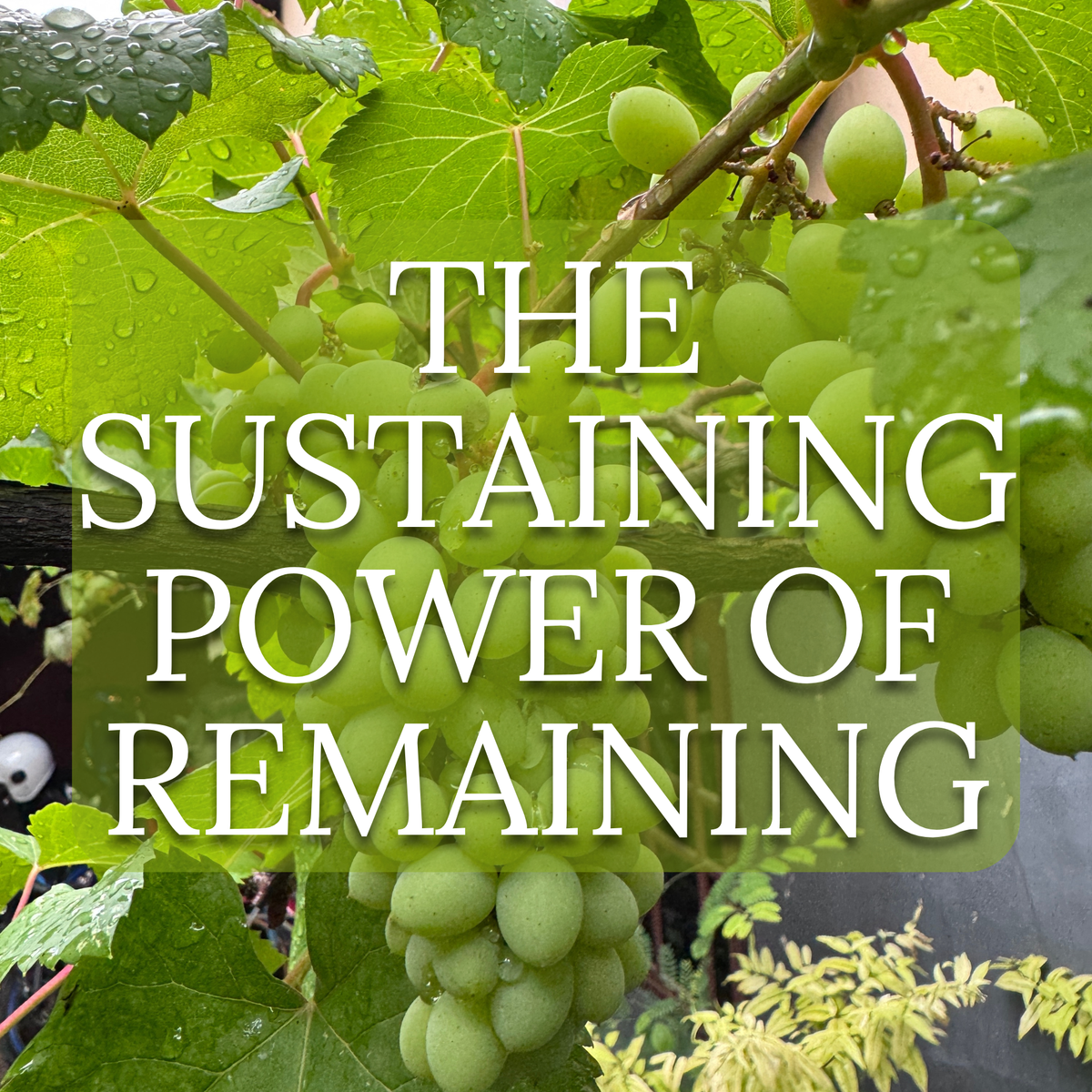 The Sustaining Power of Remaining – Sunshine and Faith Evermore
