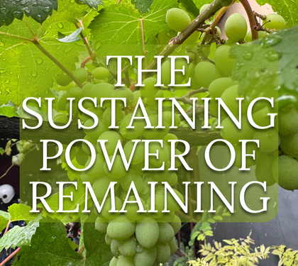 The Sustaining Power of Remaining